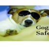 Goggle safety